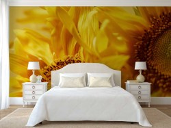 fotobehang slaapkamer zonnebloem